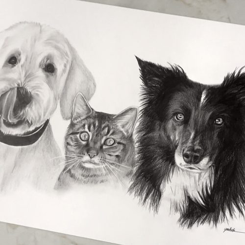 Pet portrait commission